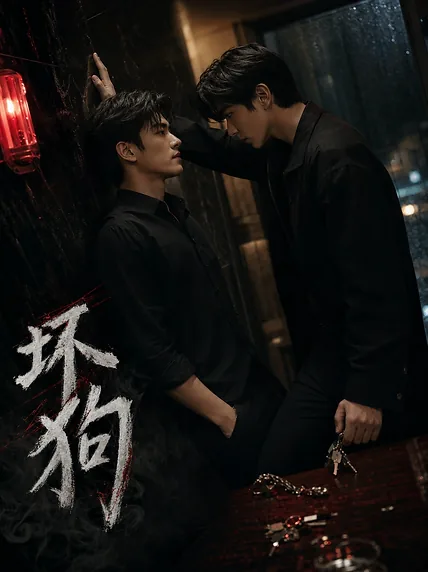 坏狗