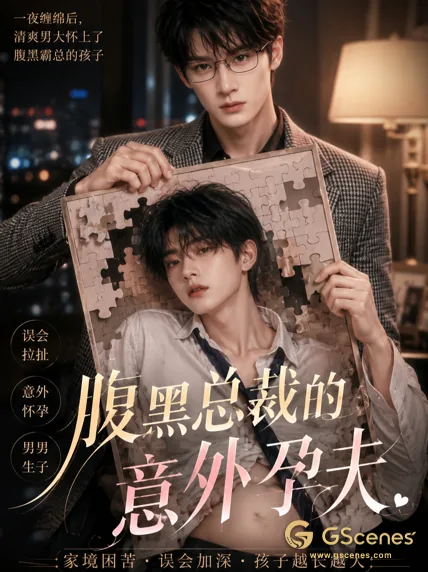 腹黑总裁的意外孕夫